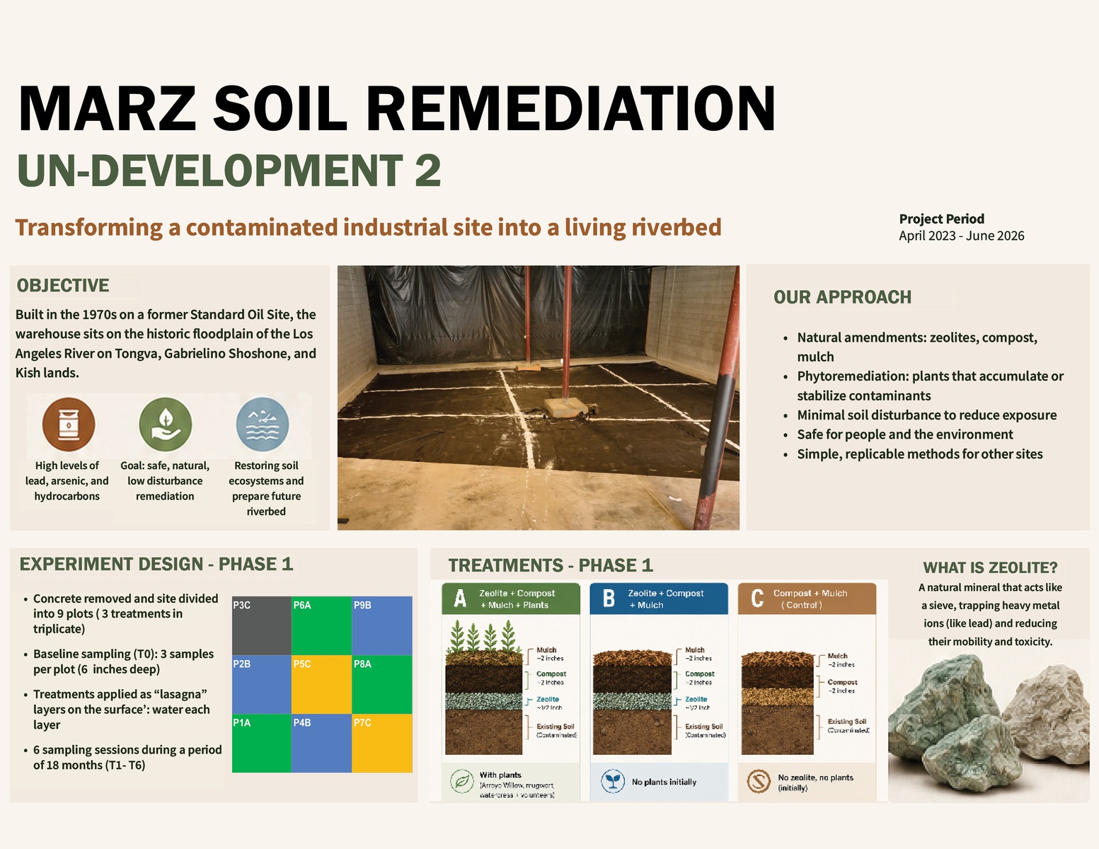 Which Plants Are Usually the First to Live in Soil? 