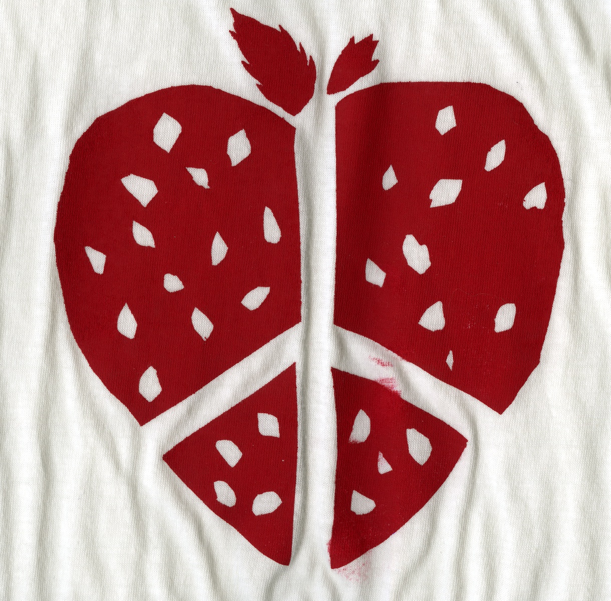 strawberry aquaponics pdf - aquaponic